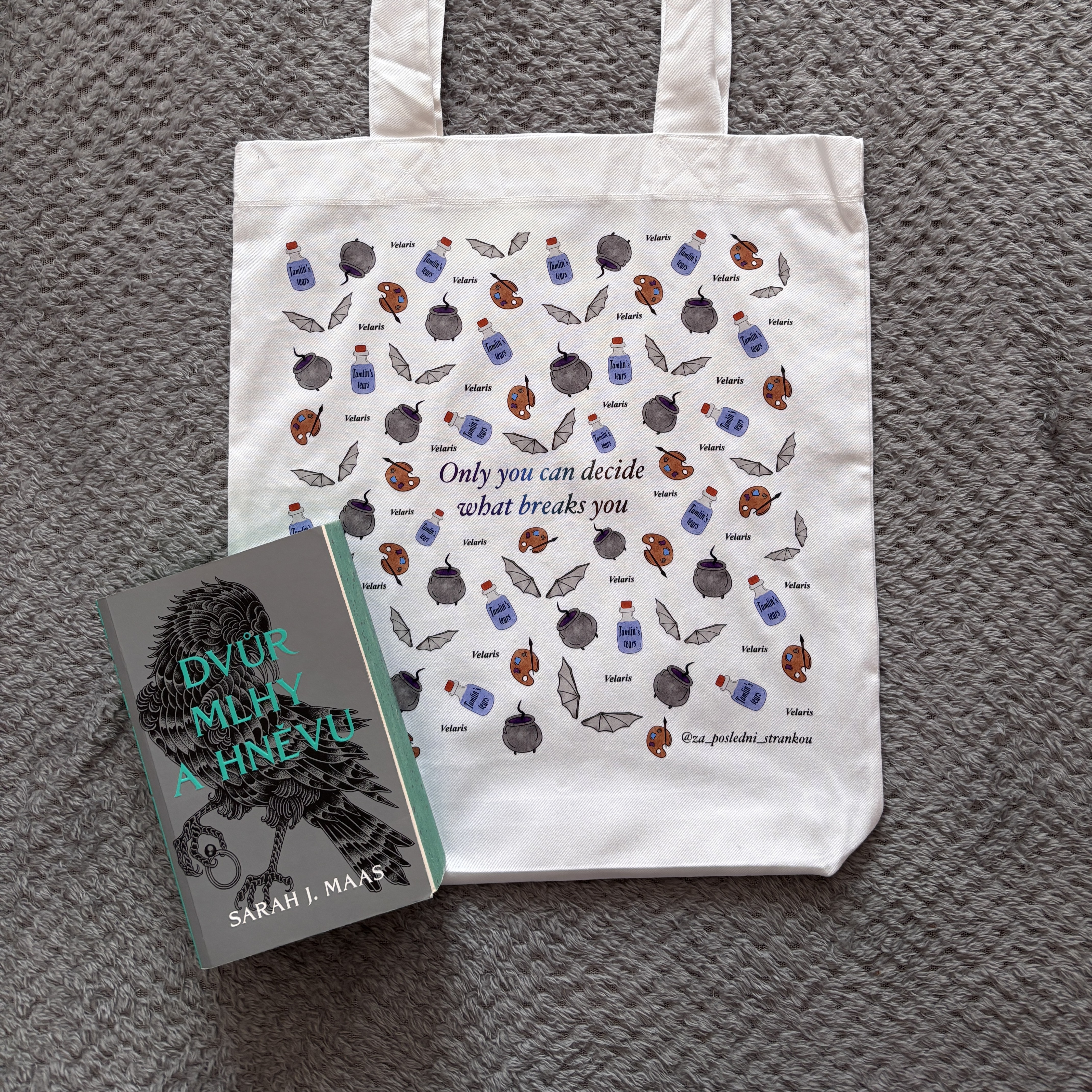 Plátěná taška Dvůr trnů a růží